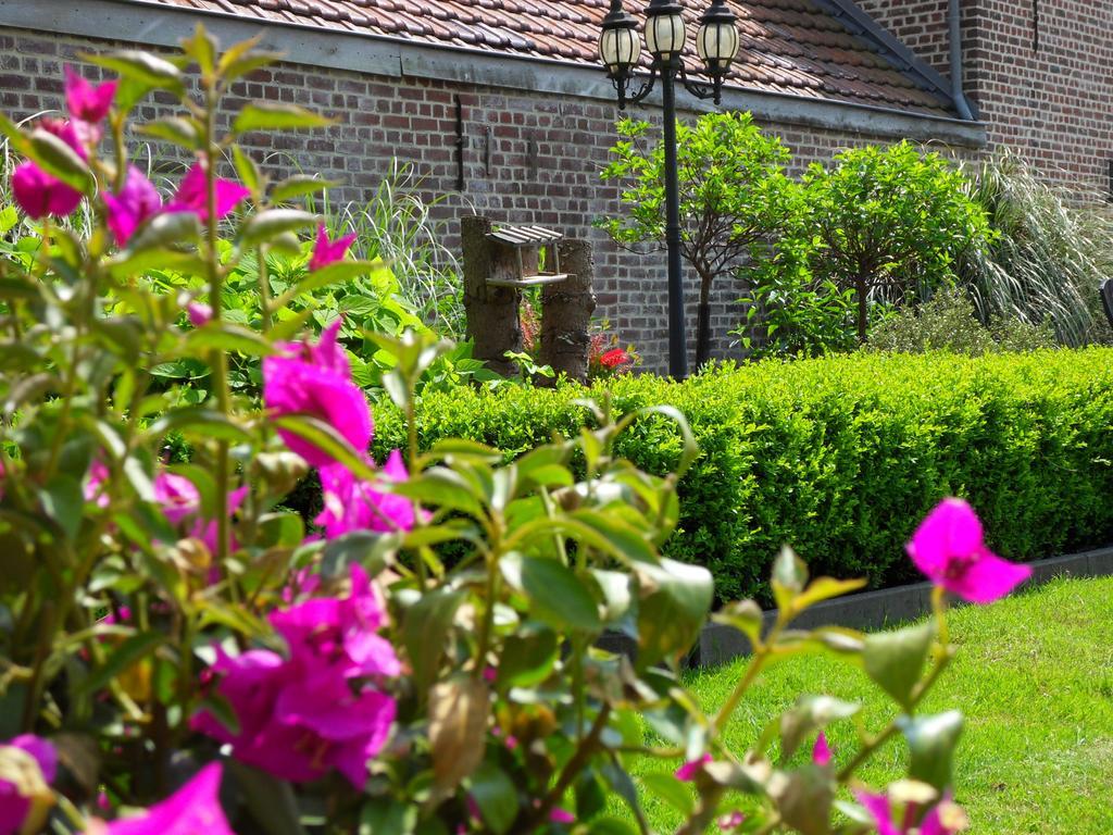 B&B 'Het Logiement Sint-Maria-Lierde Экстерьер фото